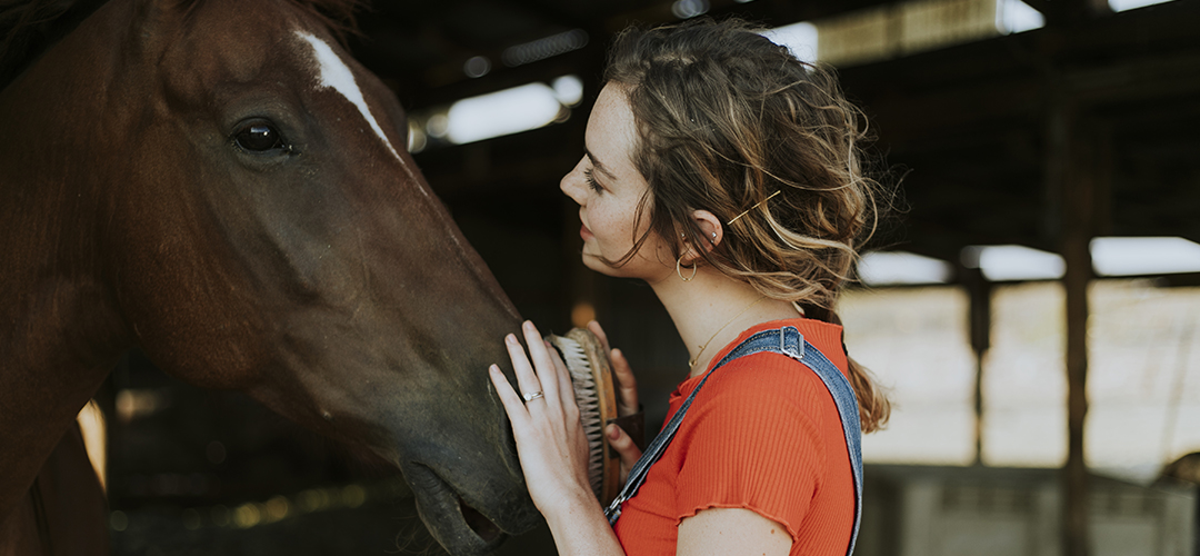 A lady in orange patting a horse's nose