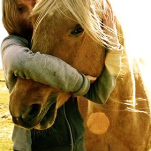 A lady hugging a horse