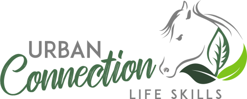 Contact Us Urban Connection Contact Us Urban Connection