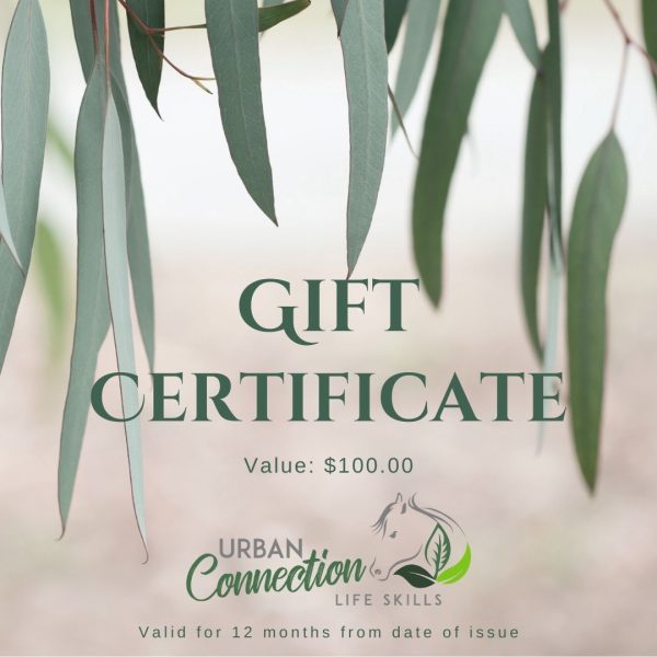 Gift Certificate